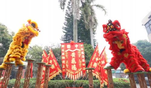 龙腾狮跃，，，共铸绚烂未来！！！